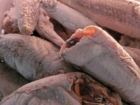 Whiting Fish - Hake (Frozen) 1lb